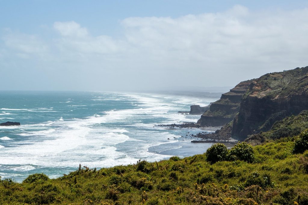 New zealand, coast, beach — Atomic Wallet: A Comprehensive Guide to Secure Crypto