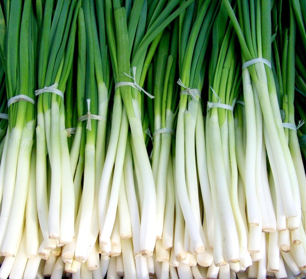 Green onions, new onion, vegetables — Experience Seamless Crypto Management with Ledger Live