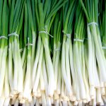 Green onions, new onion, vegetables — Experience Seamless Crypto Management with Ledger Live