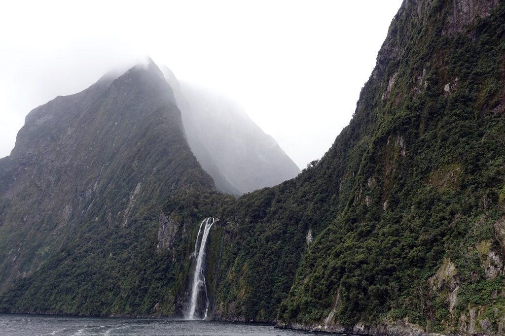Nature, fog, landscape — Harnessing Bscscan for Innovative Crypto Tracking Solutions