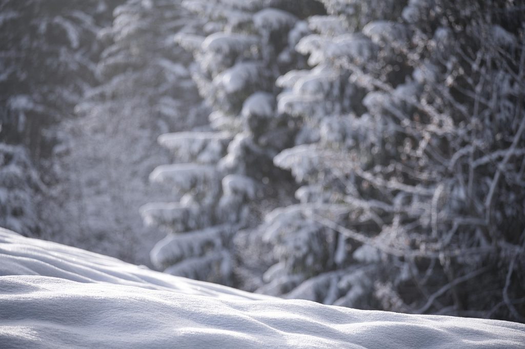 Snow, nature, winter — Harnessing the Power of Bscscan for Crypto Success