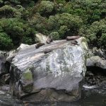 New zealand, new, zealand — Mastering Raydium: Your Guide to Effective Crypto Swapping