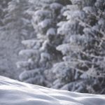 Snow, nature, winter — Revolutionize Your Trades with Innovative Jupiter Swap