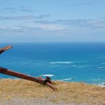 New zealand, sea, beach — Unleashing Potential with Jupiter Swap: A Trader's Guide