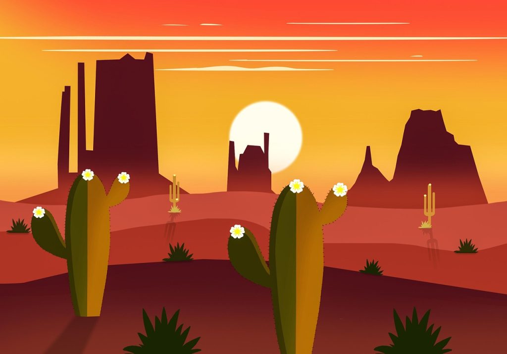 Cactus, flowers, nature — Unlock the Full Potential of Atomic Wallet Today