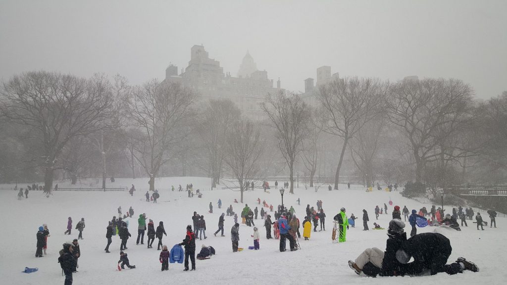 Snow, central park, new york — Unlocking the Benefits of Atomic Wallet for Everyone
