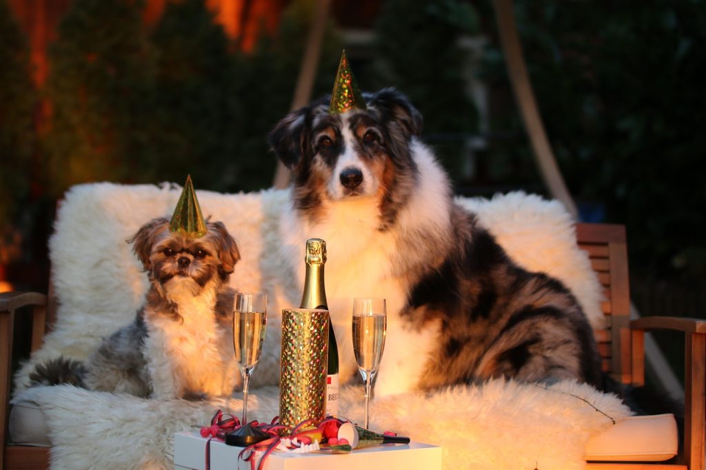 New year's day, sylvester, new year's eve 2015 — VegaStars Australia Successful Growth Since 2026 Launch